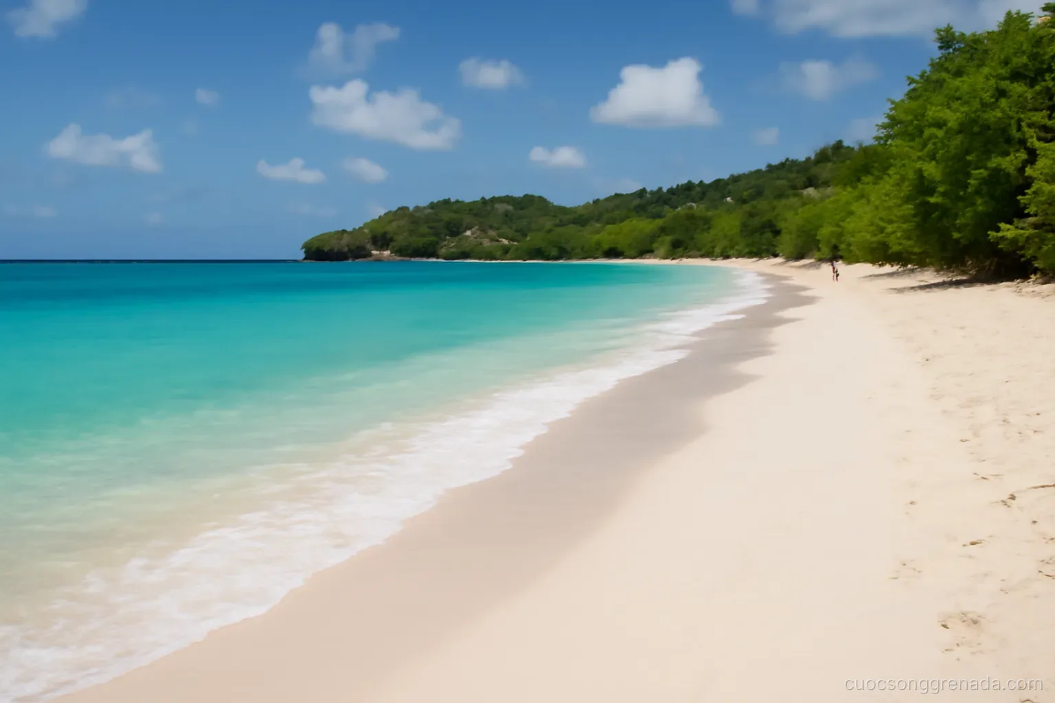 Làm việc và kinh doanh khi sống ở Grenada