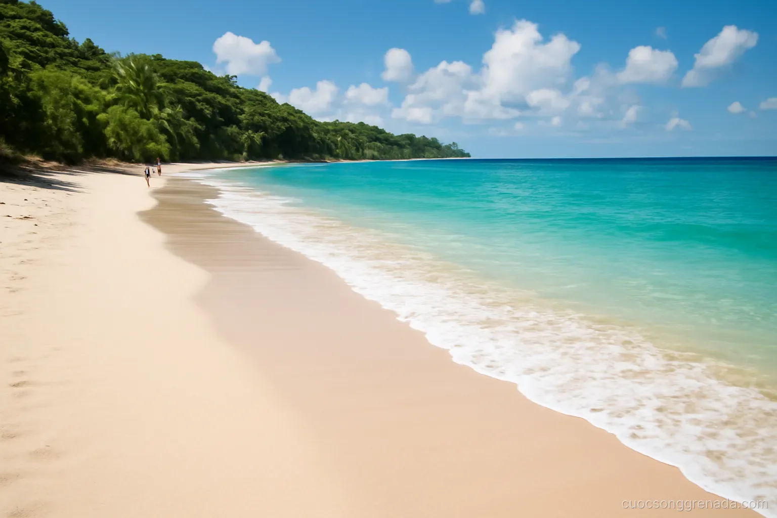 Người nước ngoài mưu sinh ở Grenada